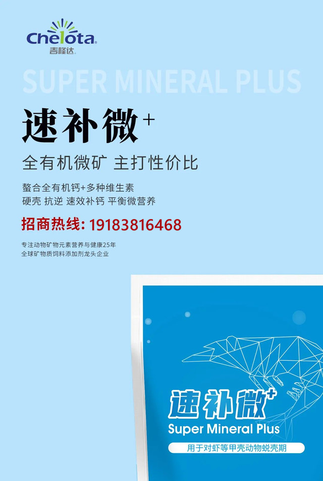 3377л΢ԪضϺƲƷٲ΢+