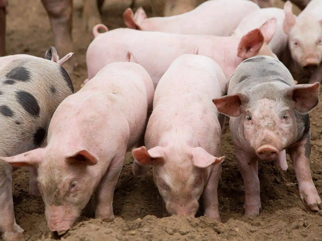 ＾ҪעʲôƺҪһҪĵ