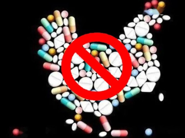 ϲǲΰ룻Żƽ