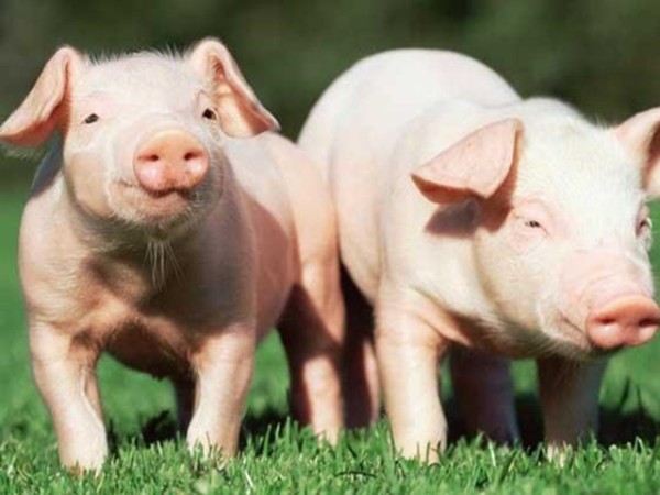 ʰʹʲôôбҪȫ