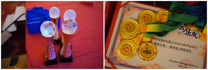 33772023＾˶26곧Ƭ