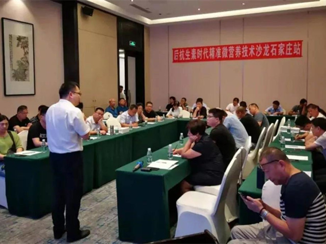 3377حʱ׼΢Ӫɳʯׯվ