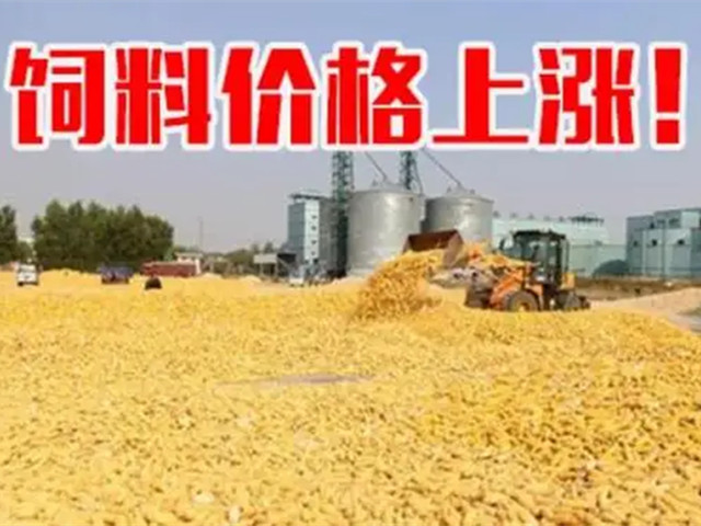 ںϼ۸ٴϳҲп࣡ﶬҪԵø