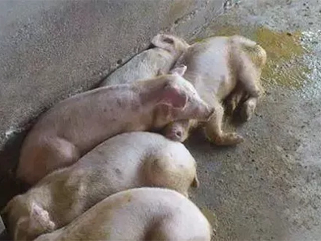 2022궬к֢״ղأ