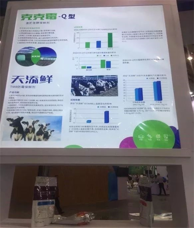 Ð󲩻á3377¹ÙÍøÕ¹Çø Ð󲩻á3377¹ÙÍøÕ¹Çø