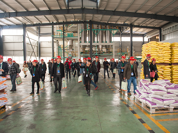 ΢ԪӼϰ˵ǸòƷ